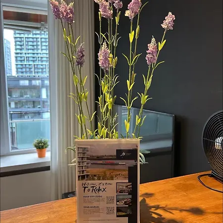 In Zuid Met Zicht Op De Stroom Apartamento